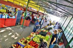 green market_aleksandrovo_2